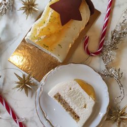 buche de noel roquebrune sur argens-patissier sainte maxime-patisserie artisanale puget sur argens-chocolatier frejus-salon de the saint raphael-gateau de mariage le muy-viennoiseries draguignan